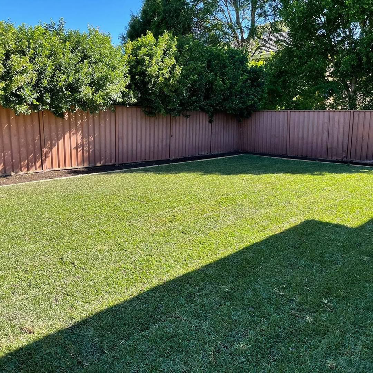 Modern Sydney backyard featuring a clean green lawn bordered by a metal fence and dense tree coverage.