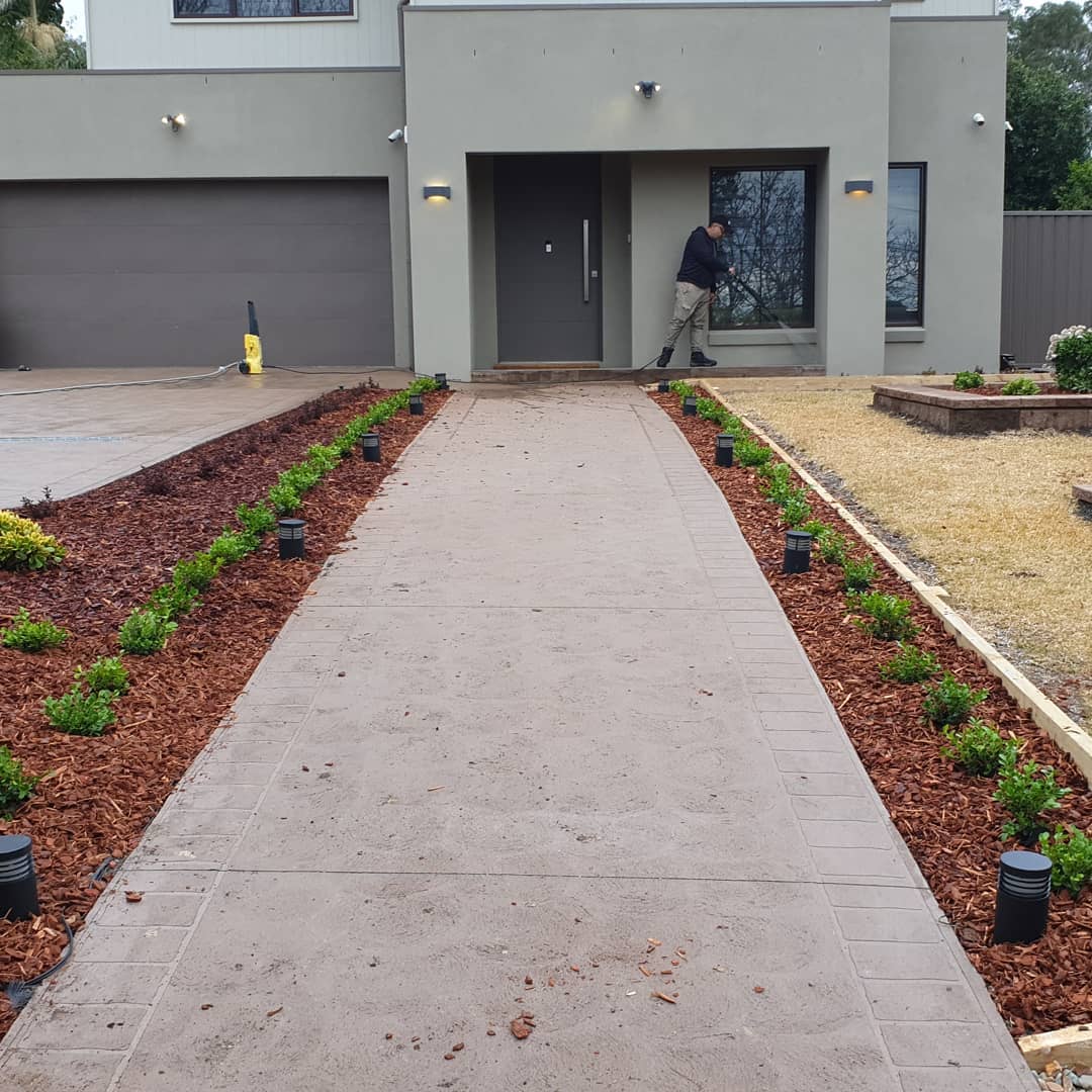 Modern Sydney home featuring a wide smooth concrete entry pathway bordered by mulch garden beds and pathway lighting.